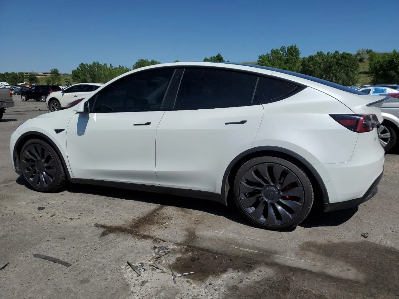 Tesla Model Y  - изображение 2