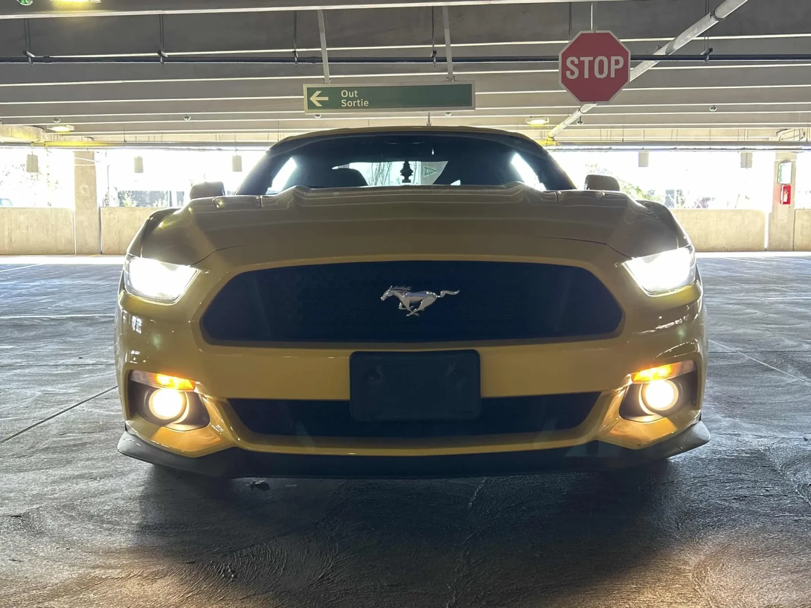 Ford Mustang GT Premium * RECARO seats + Custom Exhaust - изображение 5