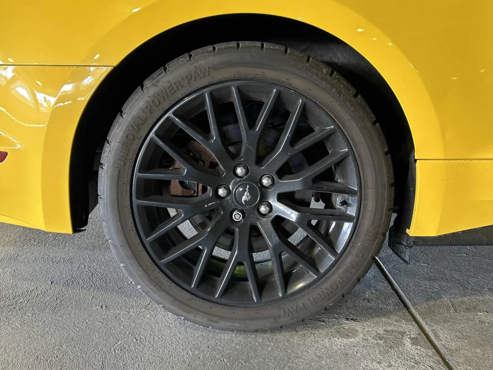 Ford Mustang GT Premium * RECARO seats + Custom Exhaust - изображение 6