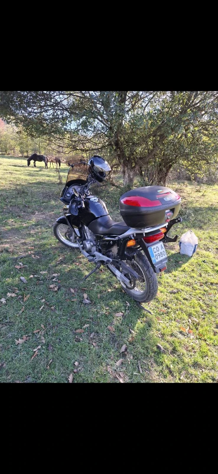 Honda Xlv Трансалп  - изображение 3