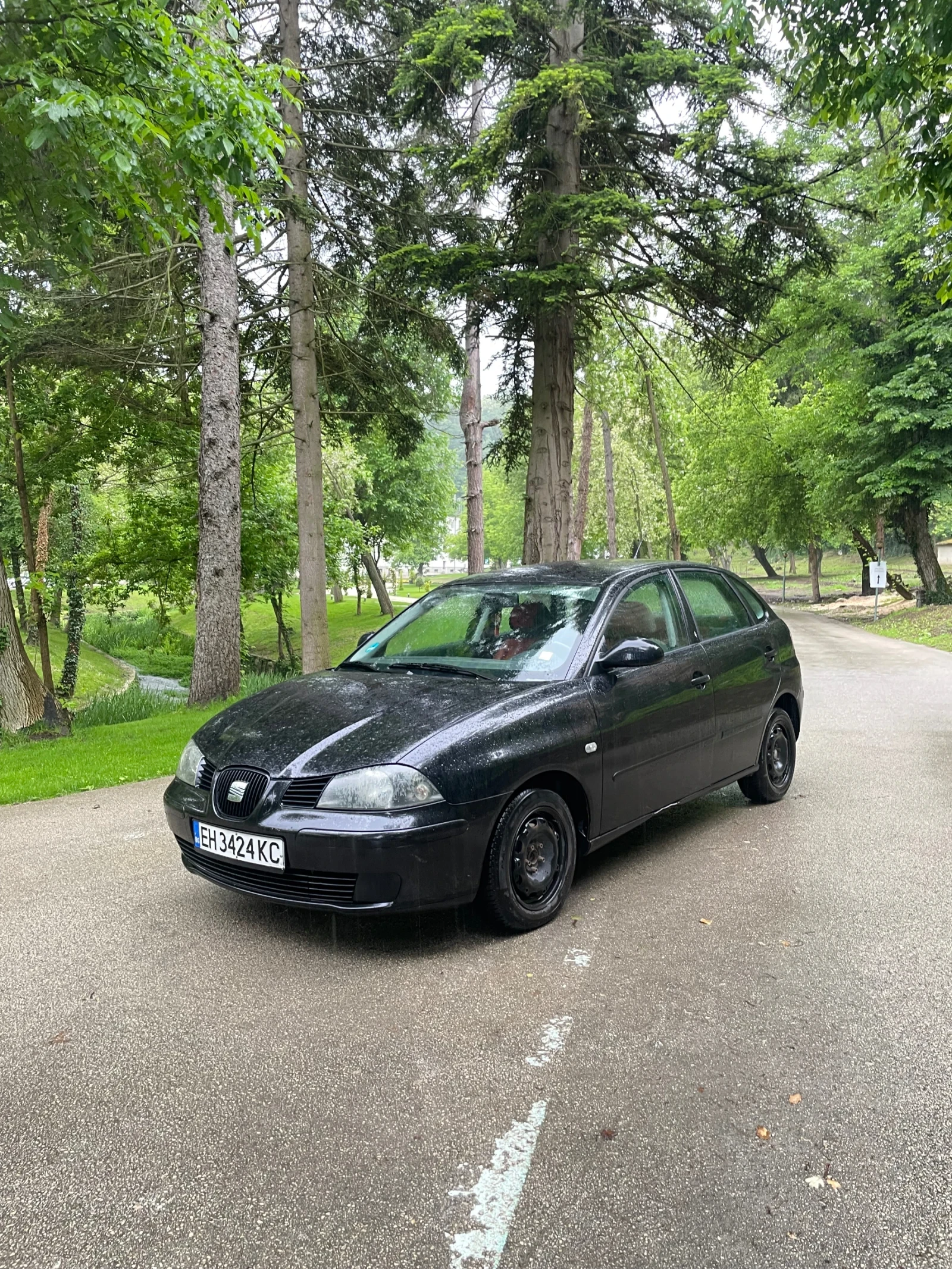 Seat Ibiza, снимка 4 - Автомобили и джипове - 54643039