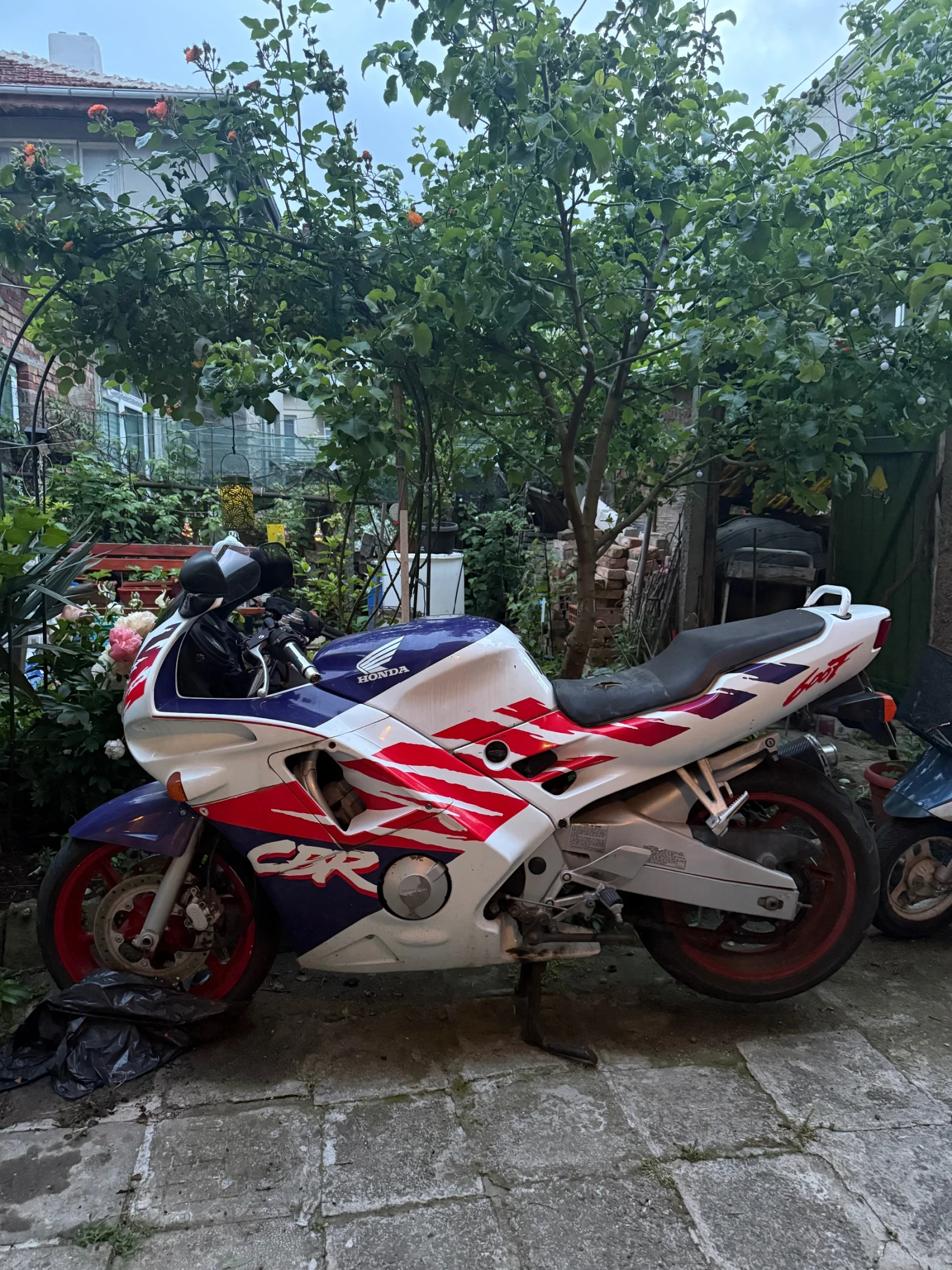 Honda Cbr