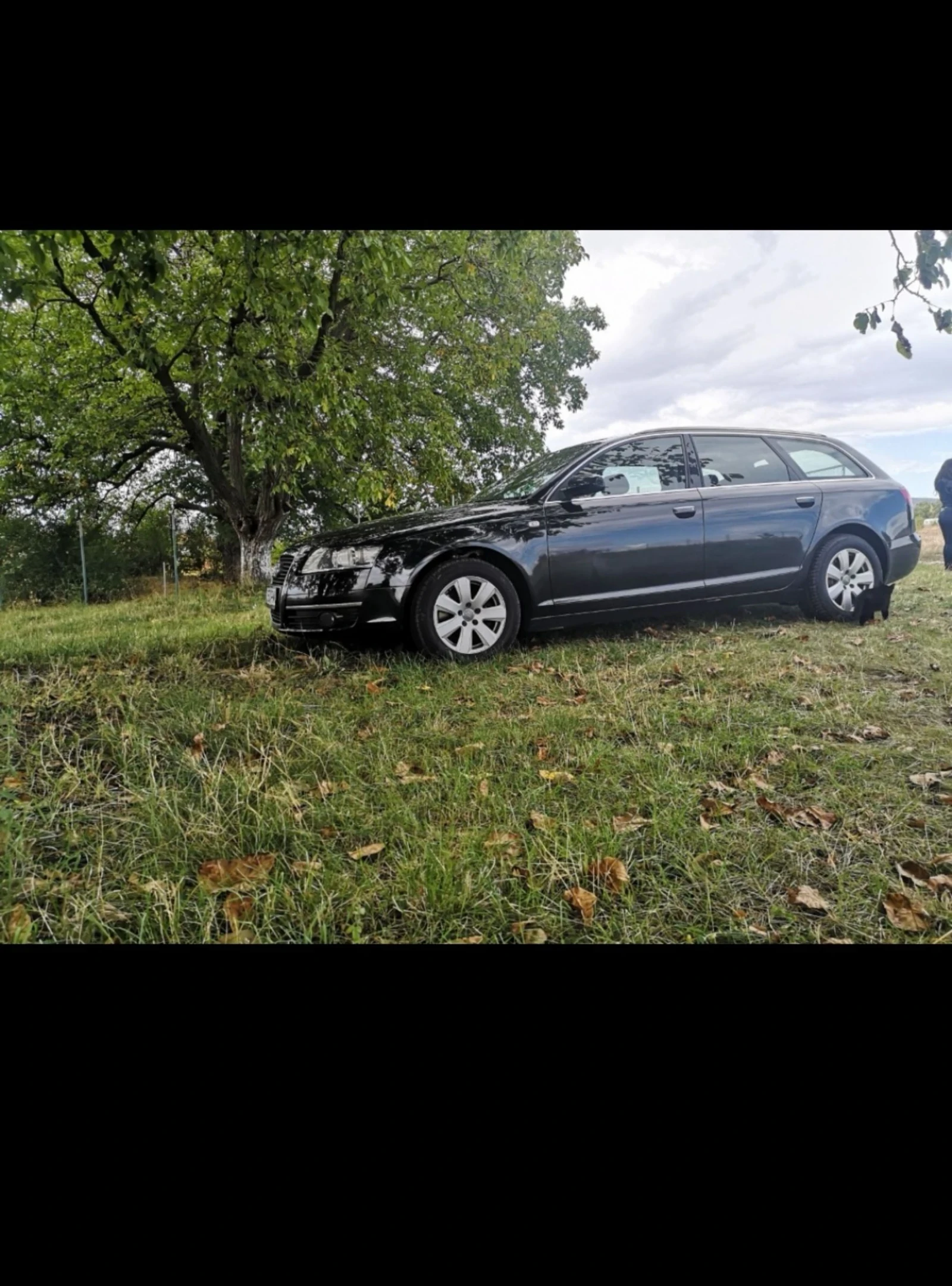 Audi A6 C6 4F | Mobile.bg   15