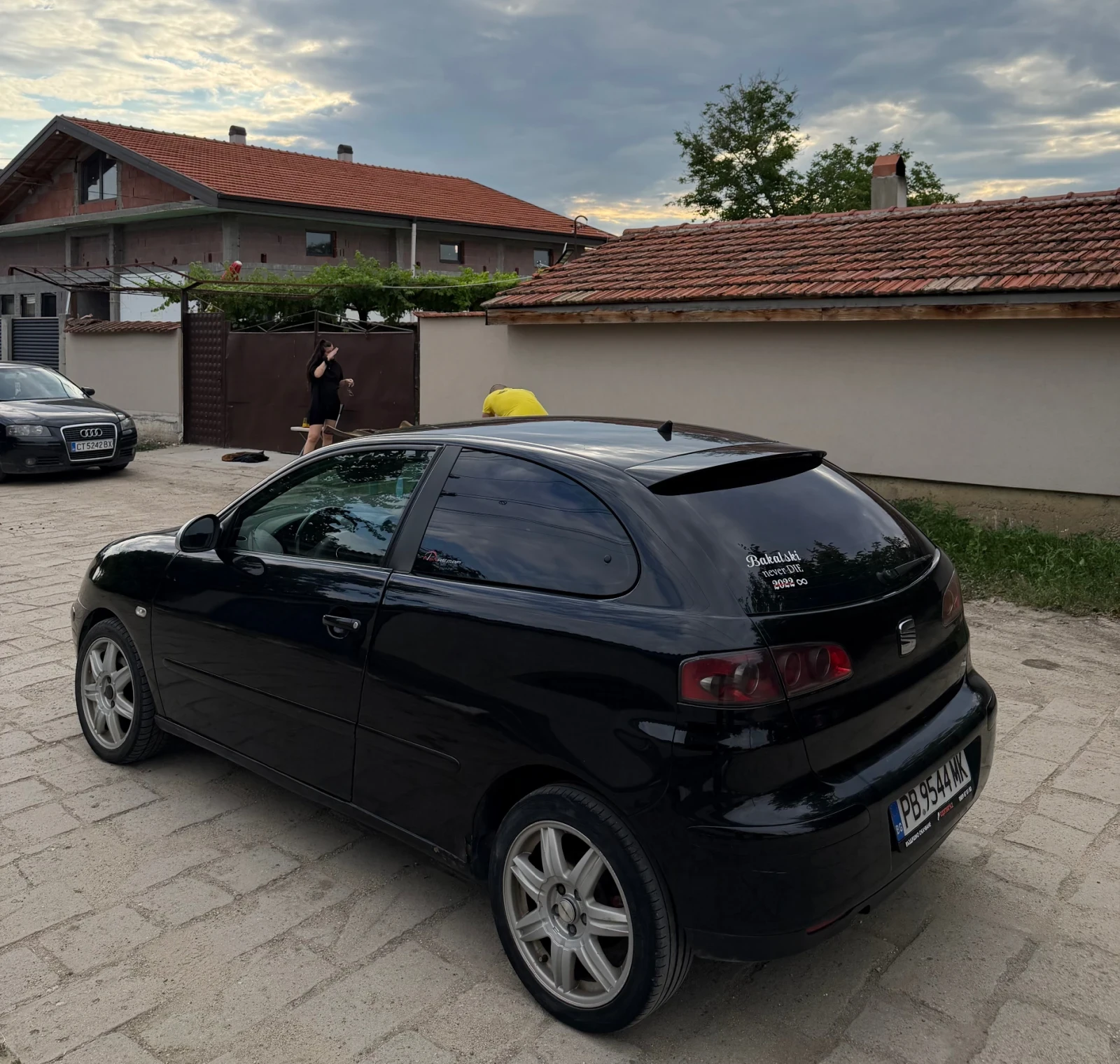 Seat Ibiza 1.9 TDI 131, снимка 6 - Автомобили и джипове - 55022399