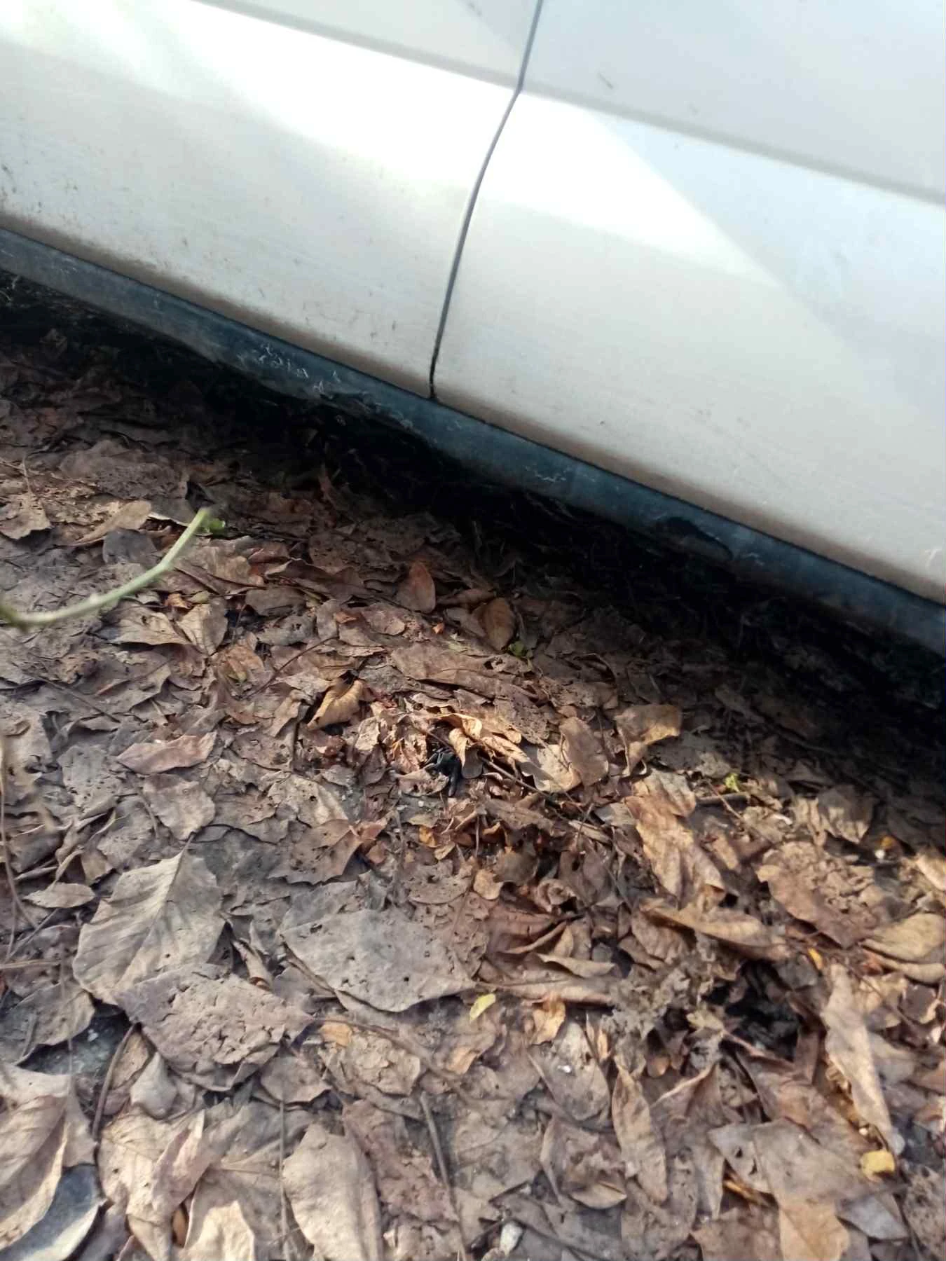 Subaru Justy 1.3 Газов инжекцион - изображение 5