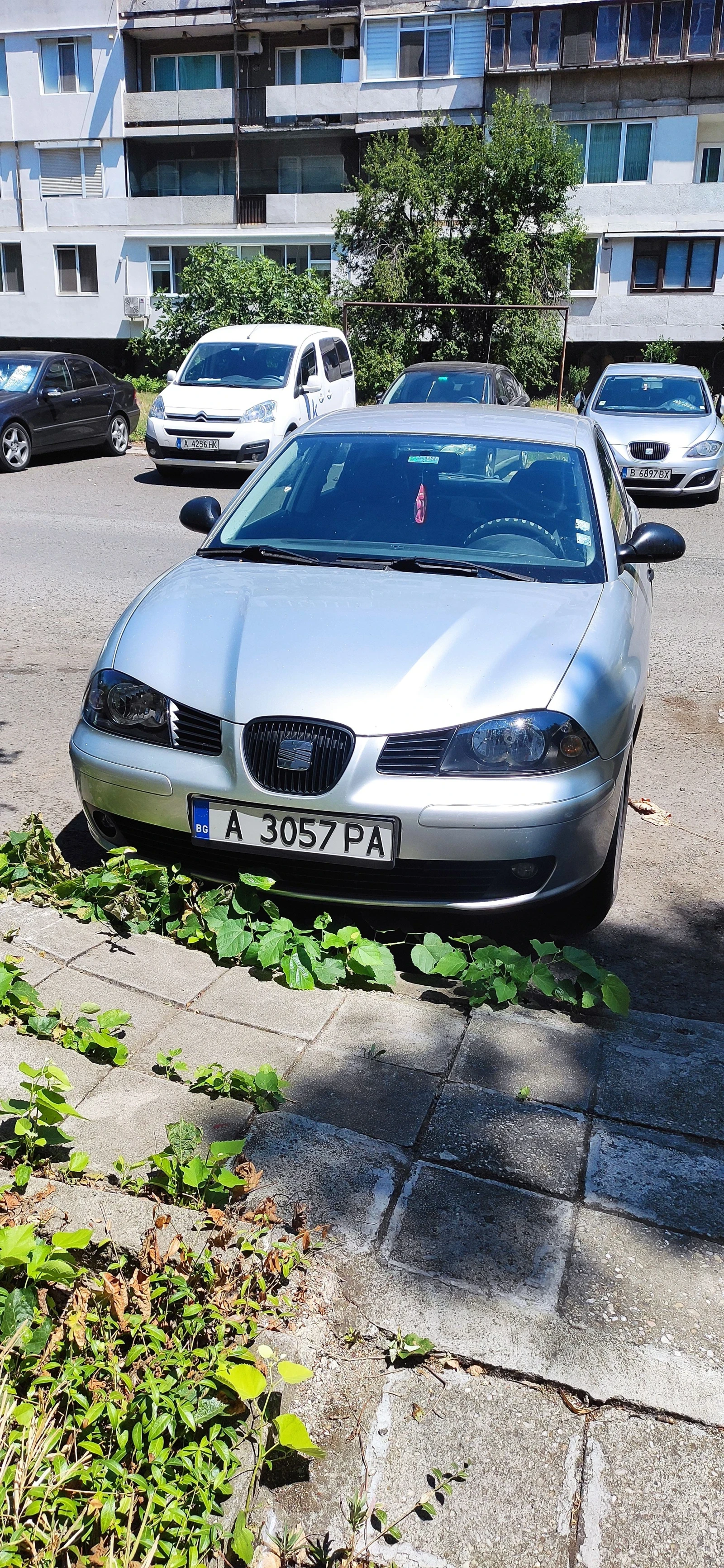 Seat Ibiza  - изображение 2