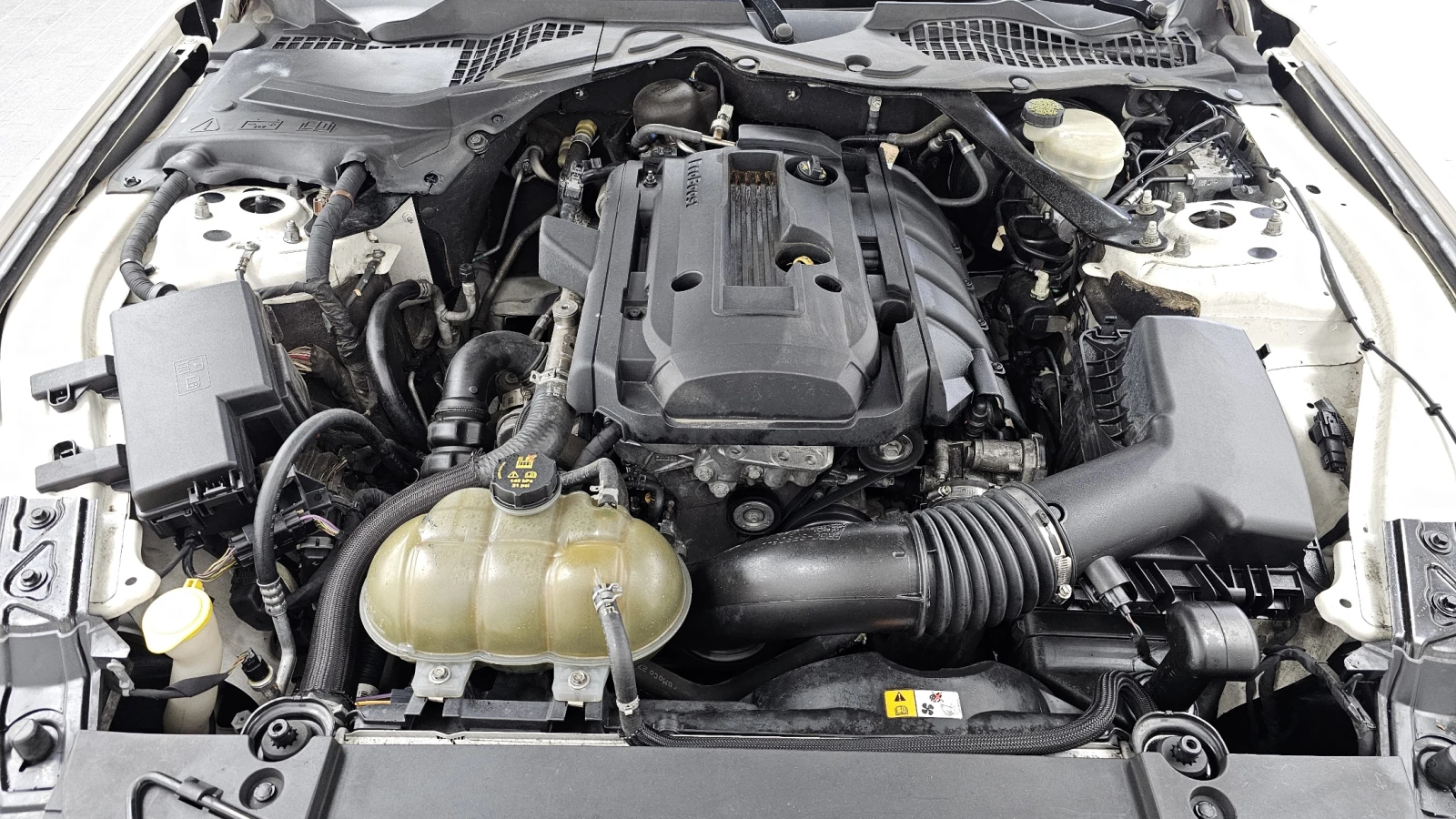 Ford Mustang Coupe 2.3 Ecoboost autogeorge.com, снимка 9 - Автомобили и джипове - 56181954