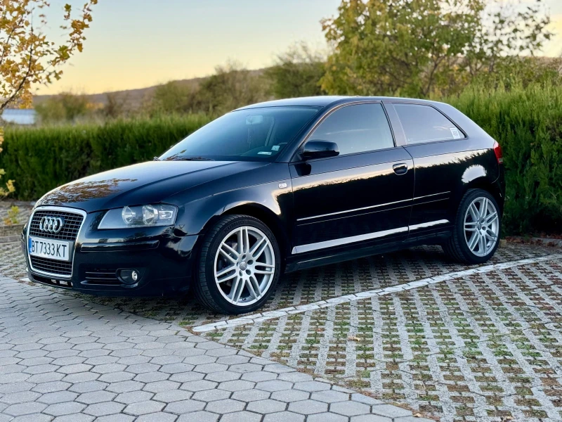 Audi A3 8P 1.9TDI , снимка 7 - Автомобили и джипове - 47750448