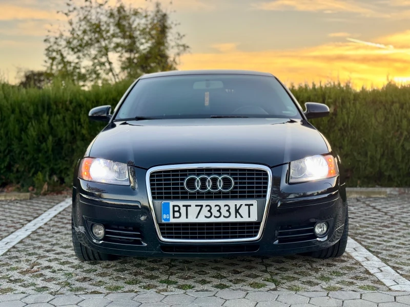 Audi A3 8P 1.9TDI , снимка 3 - Автомобили и джипове - 47750448