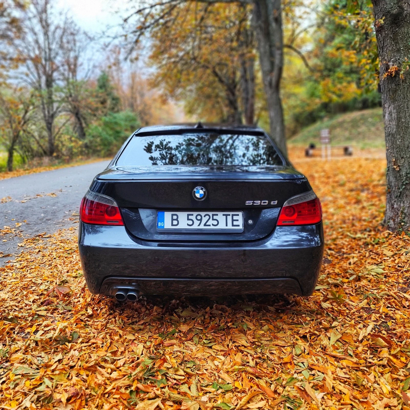 BMW 530 530d - изображение 5