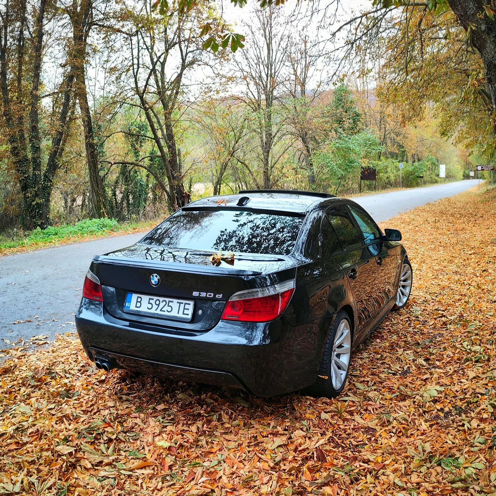 BMW 530 530d - изображение 4