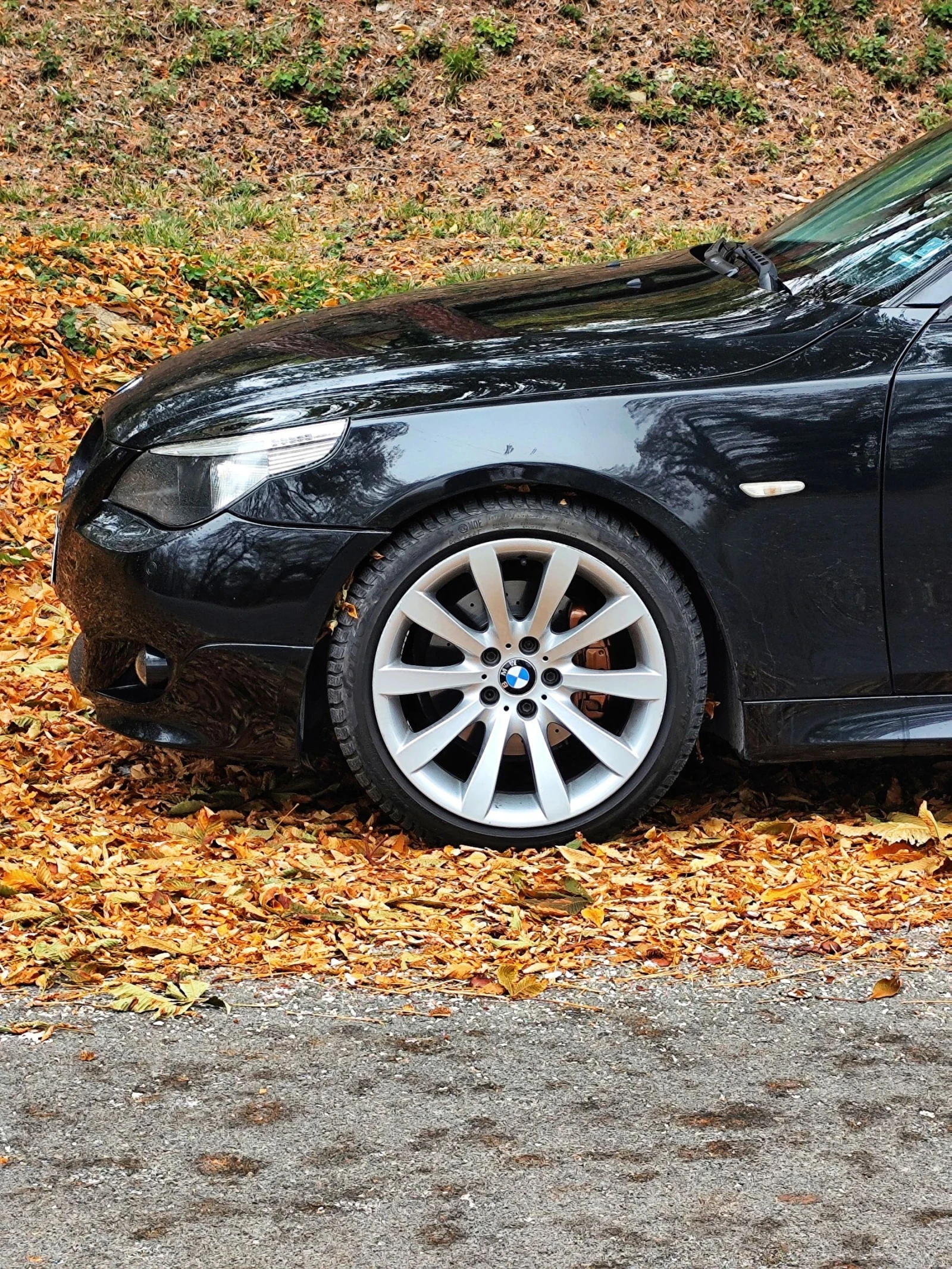 BMW 530 530d - изображение 7