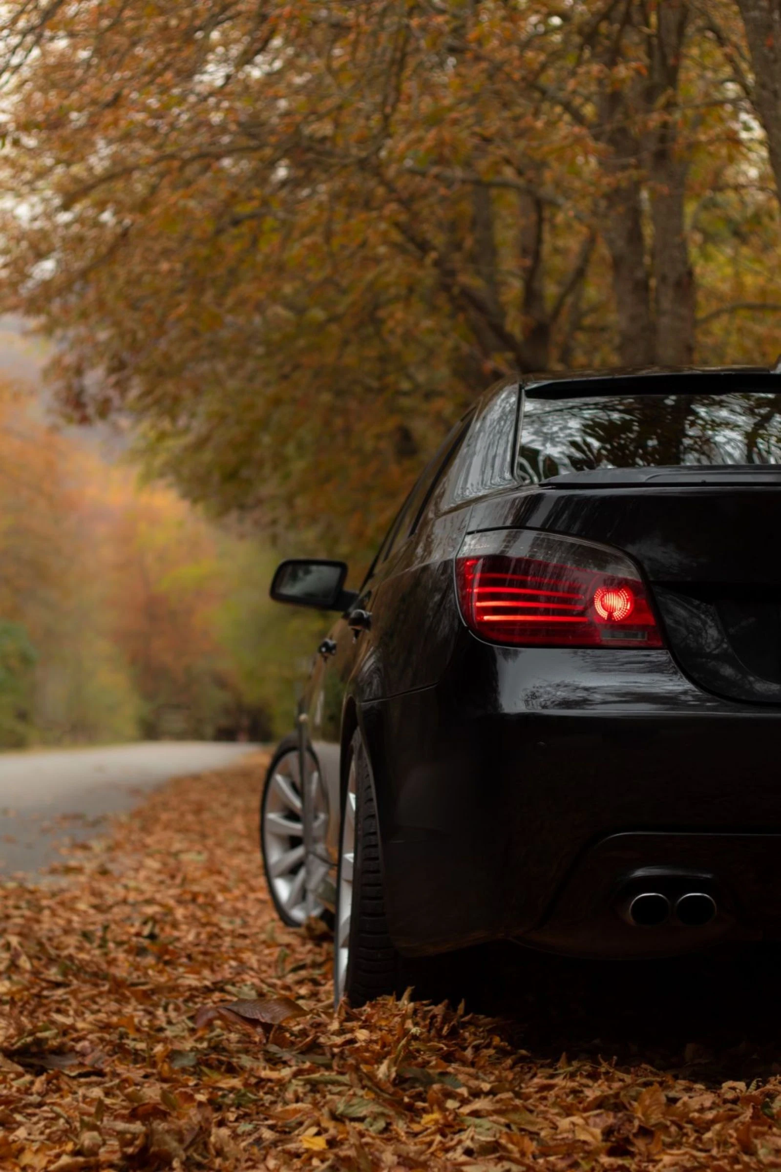 BMW 530 530d - изображение 8