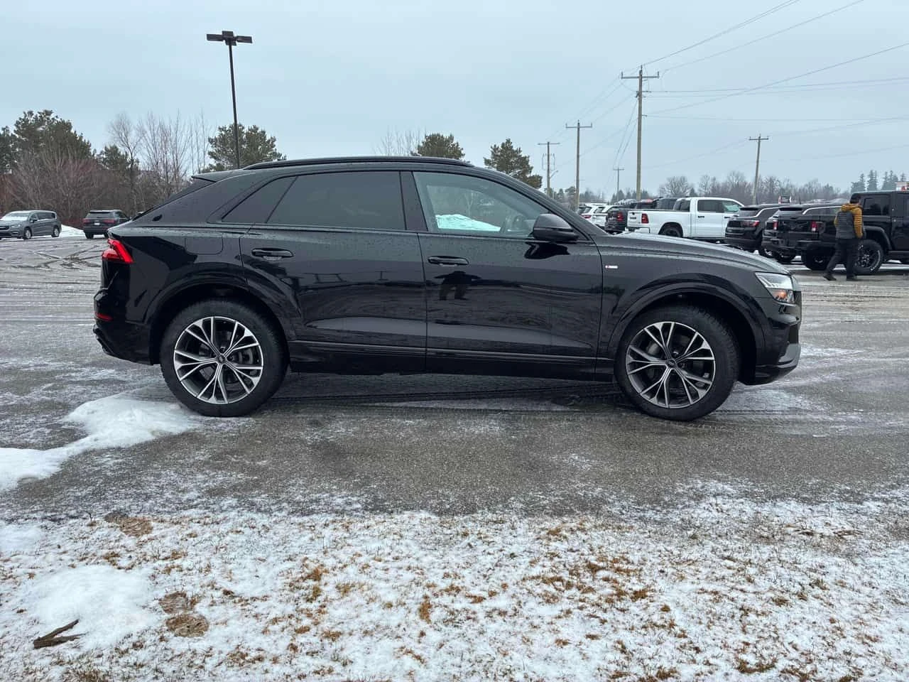 Audi Q8 Progressiv  CARFAX, снимка 3 - Автомобили и джипове - 54323850