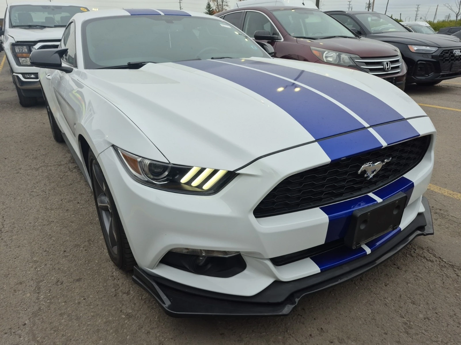 Ford Mustang V6 * * CARFAX * * АВТО КРЕДИТ * *  - изображение 2