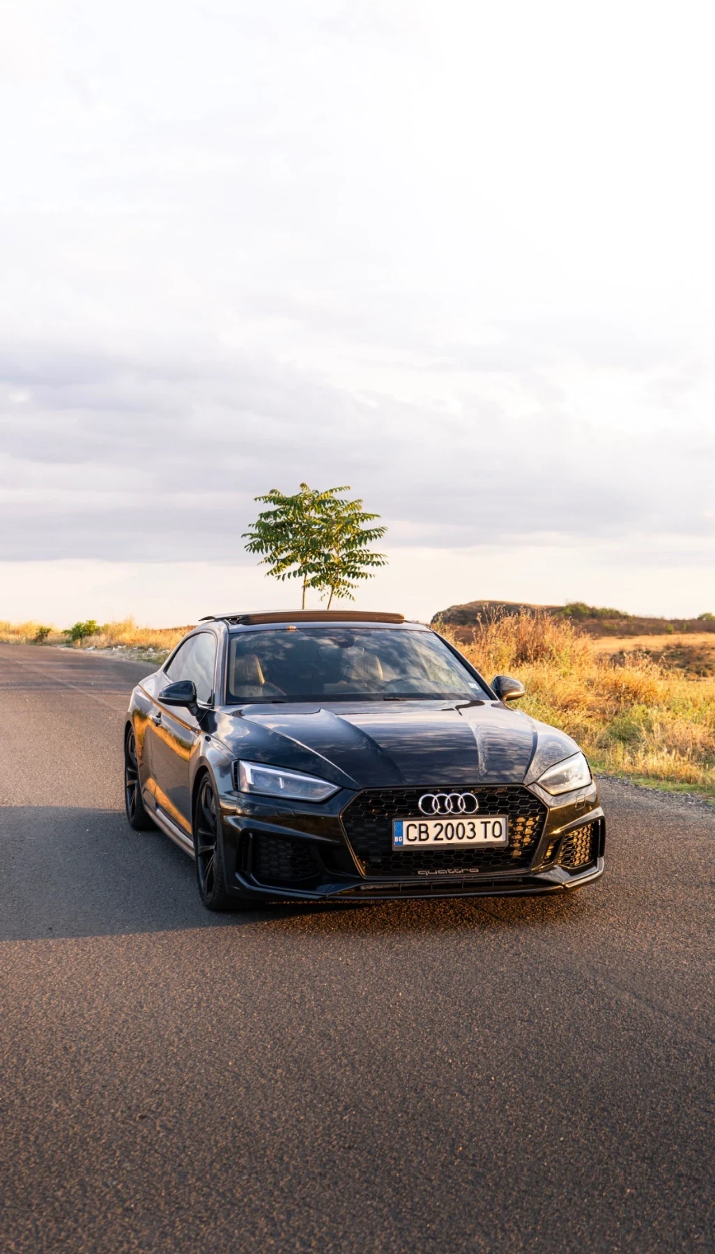 Audi Rs5, снимка 2 - Автомобили и джипове - 55242490