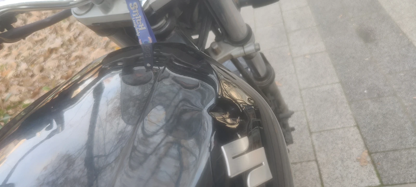 Suzuki Gs GS500 | Mobile.bg   11