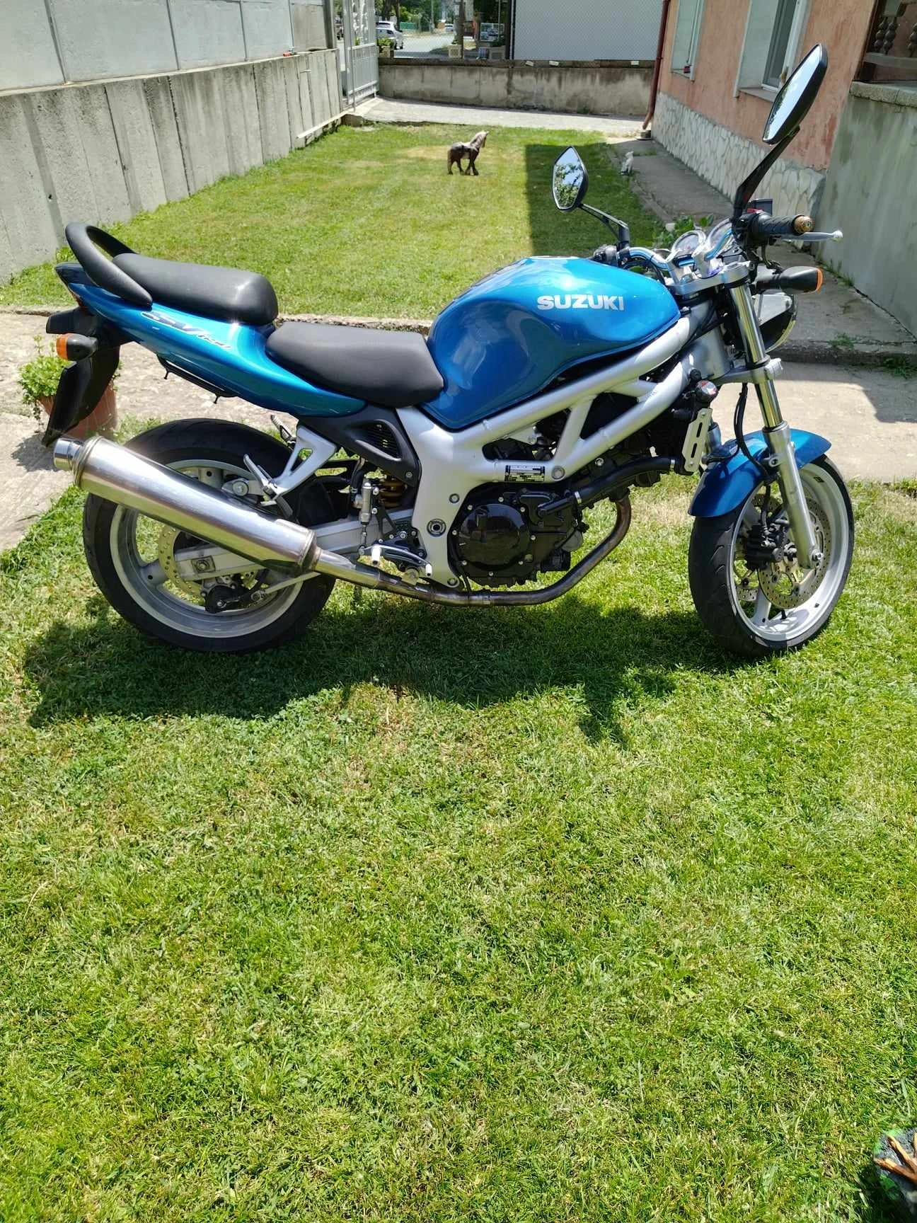 Suzuki SV