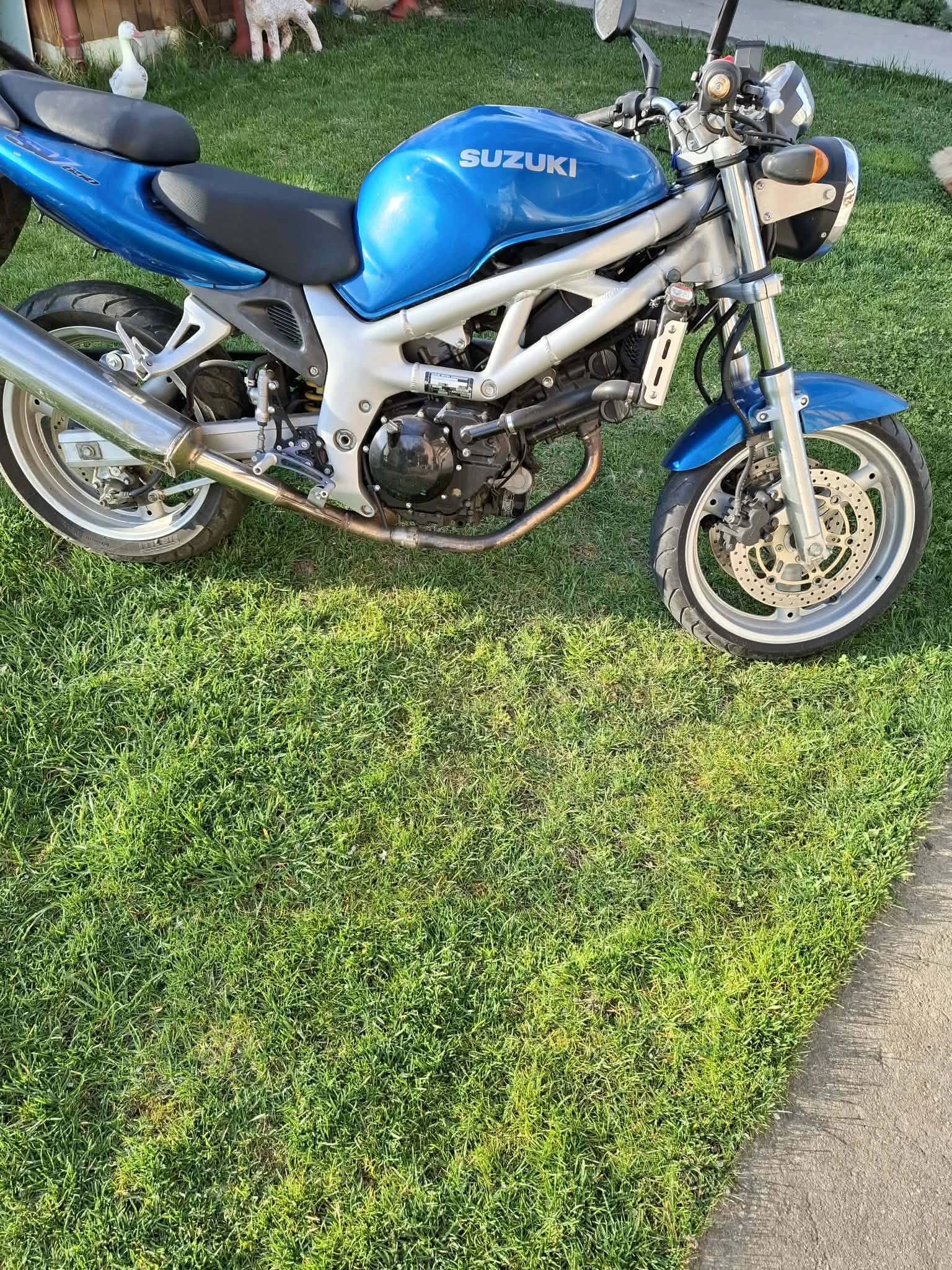 Suzuki SV, снимка 4 - Мотоциклети и мототехника - 56058168