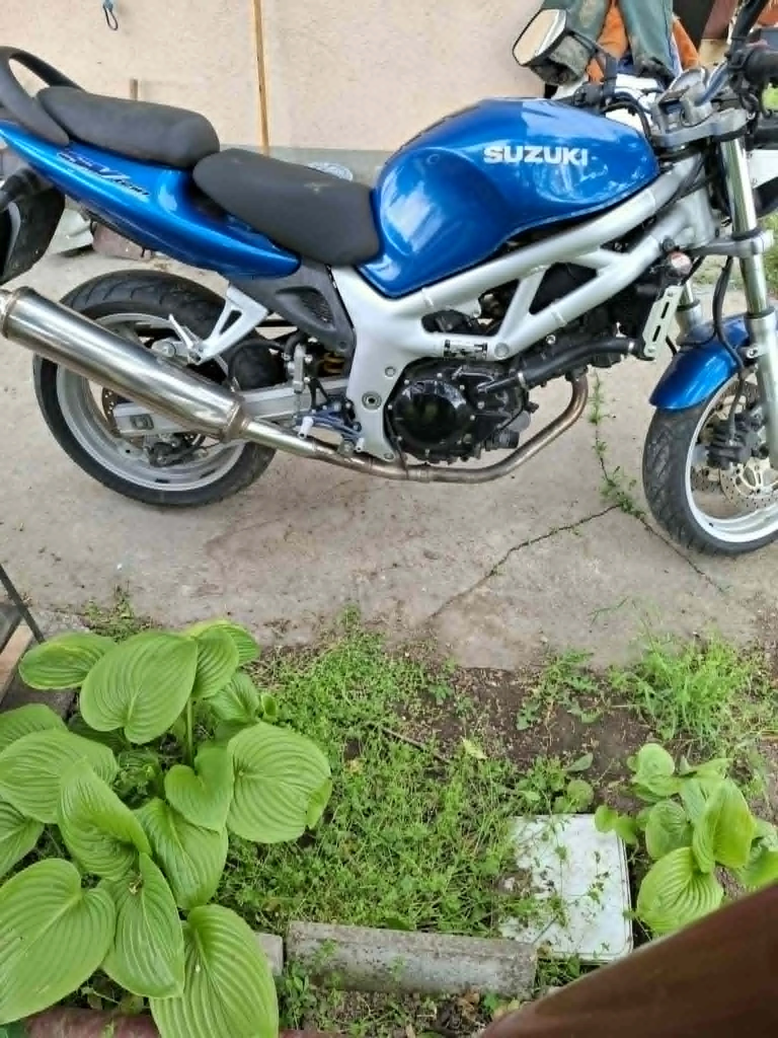 Suzuki SV, снимка 6 - Мотоциклети и мототехника - 56058168
