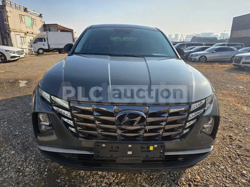 Hyundai Tucson 2.0 CRDI/ОБДУХВАНЕ/DISTRONIC/ВКЛЮЧЕН ТЕХНОТЕСТ, снимка 3 - Автомобили и джипове - 54208895