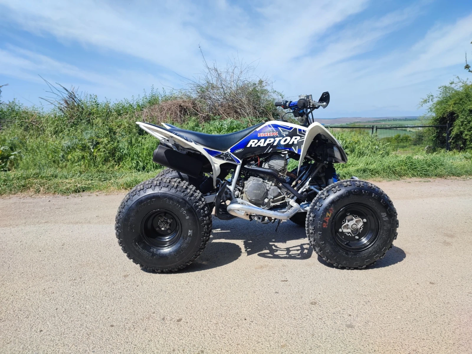 Yamaha Raptor 250 - изображение 3
