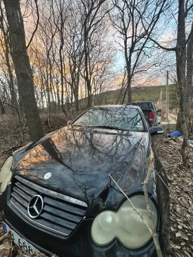 Mercedes-Benz 220, снимка 4