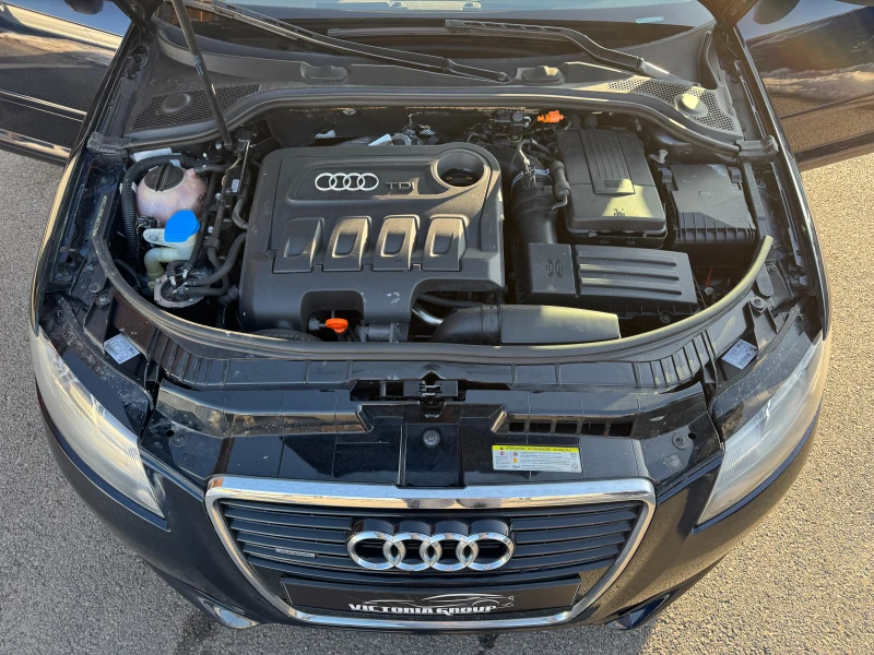 Audi A3 2.0 TDI QUATTRO НОВ ВНОС, снимка 11 - Автомобили и джипове - 48740962