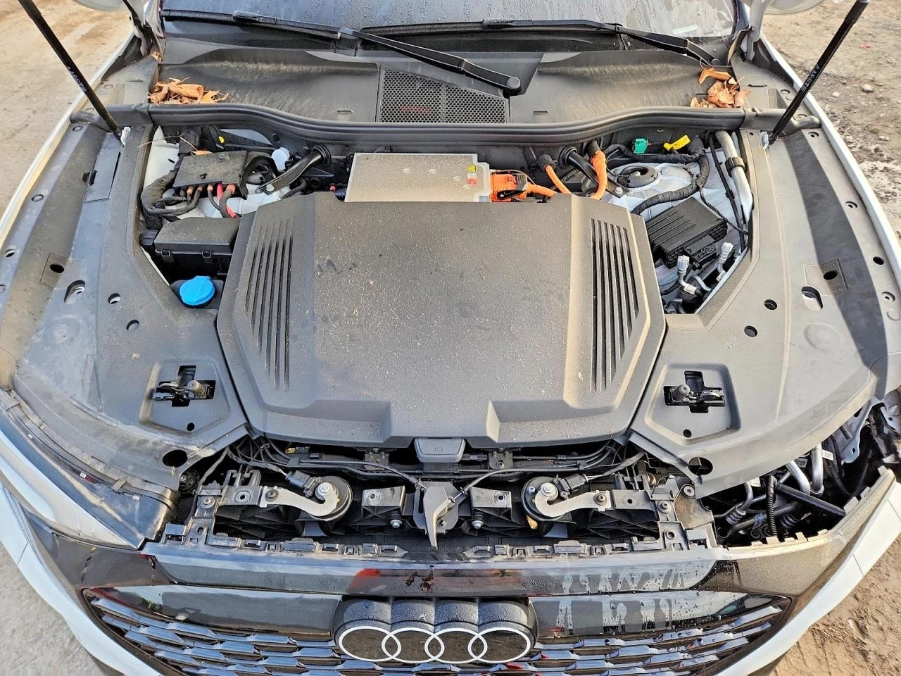 Audi Q8 E-�RON quattro Premium * CARFAX * A��������� | Mobile.bg � ����������� 12