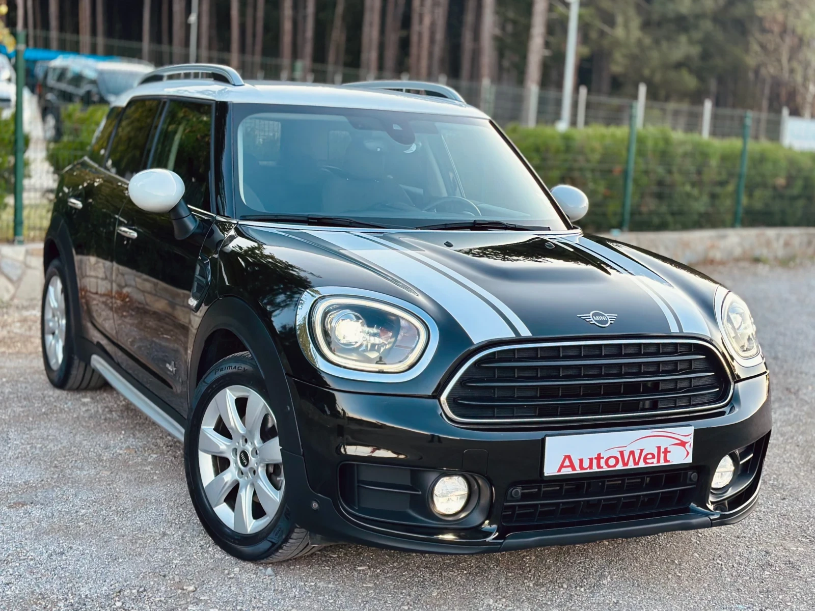 Mini Countryman 4ALL 2.0 D, снимка 1