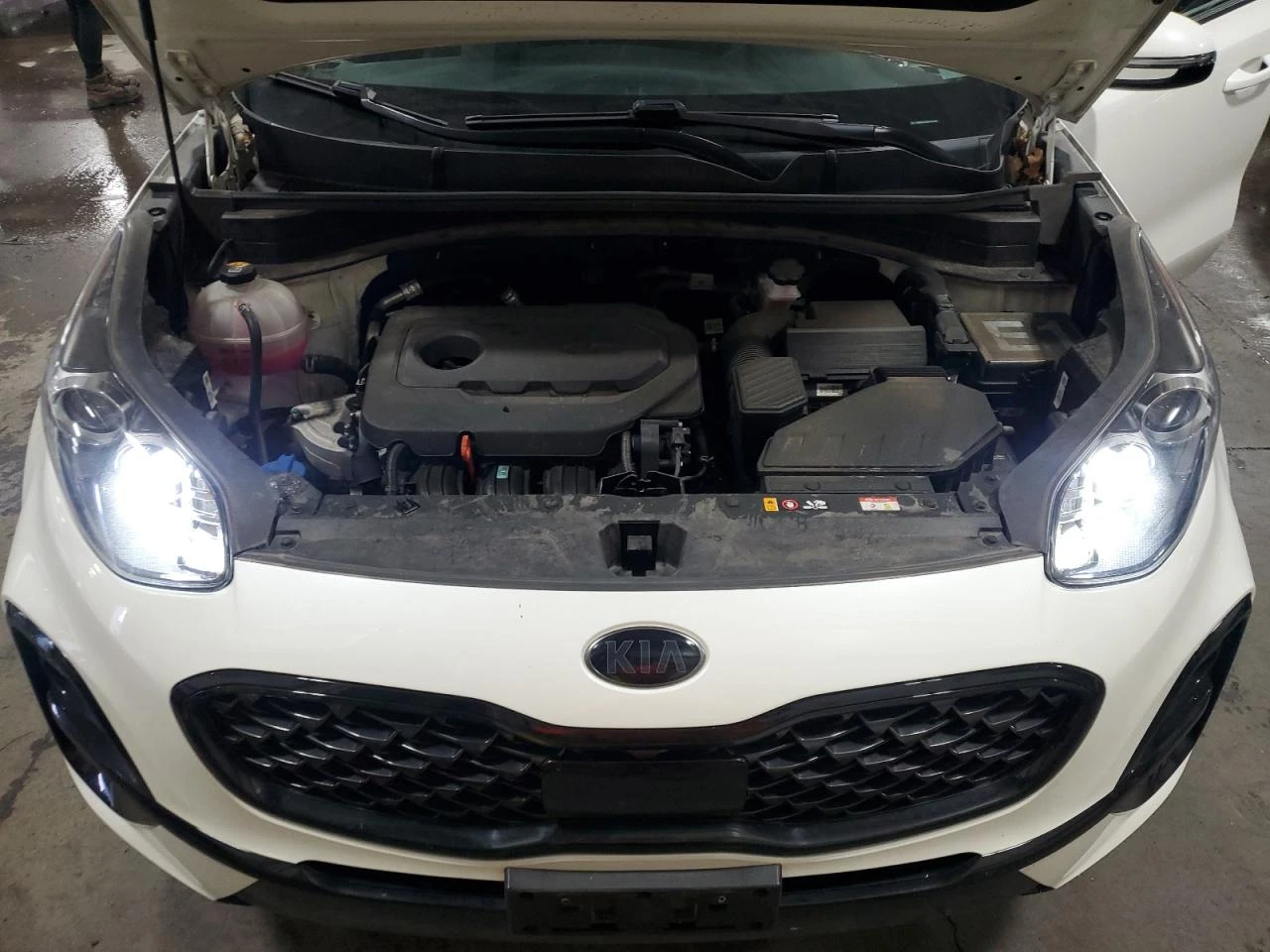 Kia Sportage S 2.4L AWD КРАЙНА ЦЕНА! КОЖА/ПОДГРЕВИ - изображение 7