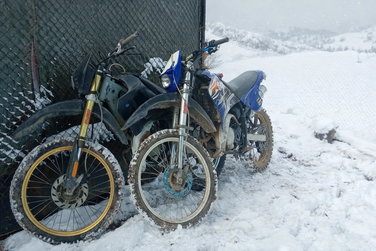 Rieju 50 | Mobile.bg � ����������� 1