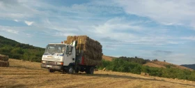 Daf 45.120 | Mobile.bg � ����� ������ 11