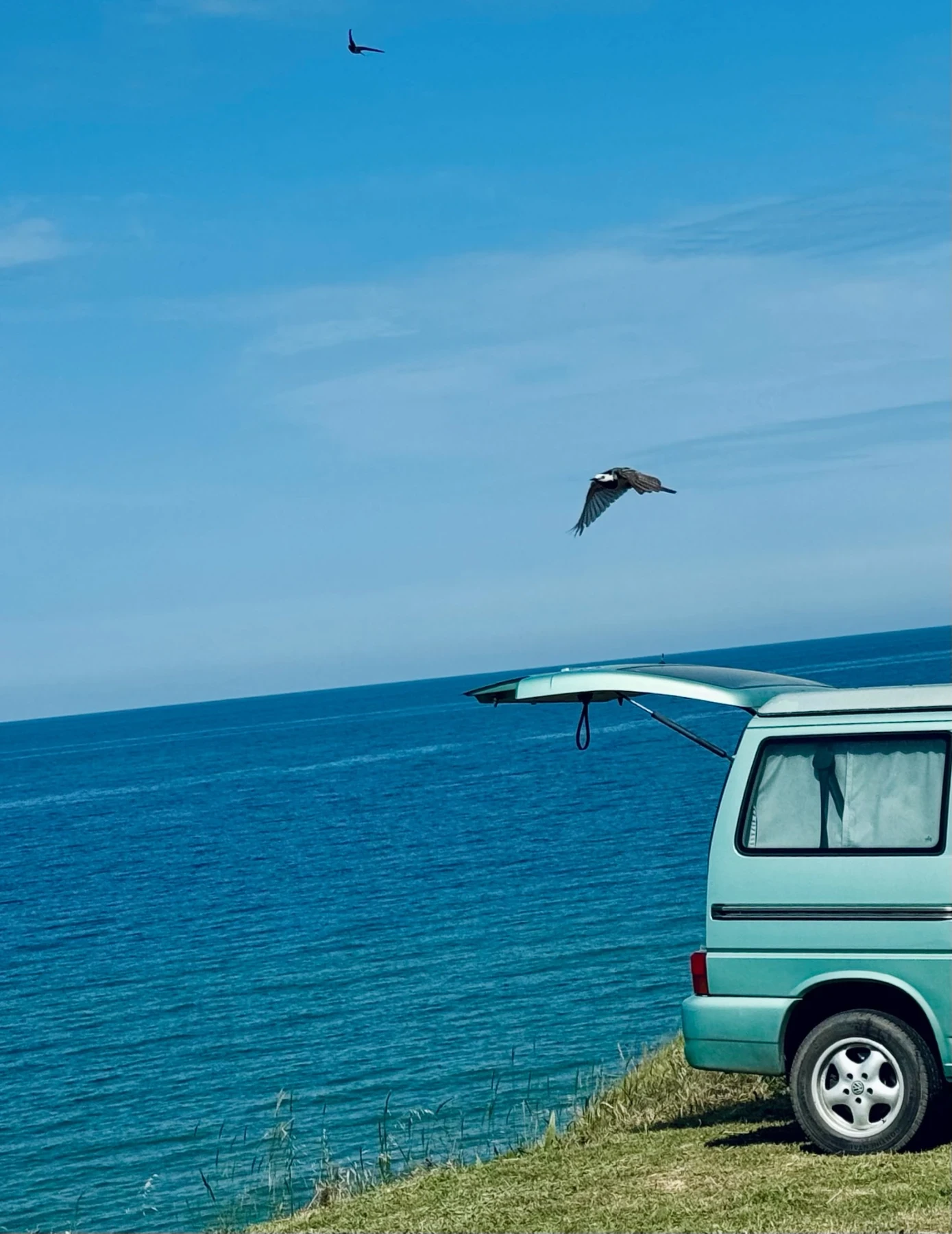 Кемпер VW California Coach  - изображение 8