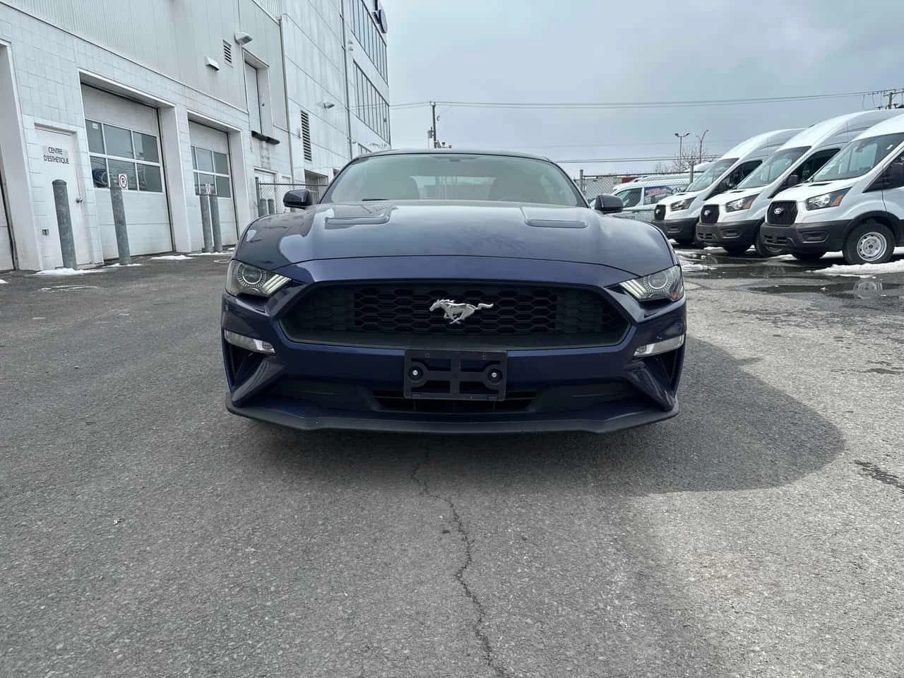 Ford Mustang * EcoBoost * ��������� * ������ * ����� * NAVI | Mobile.bg � ����������� 6