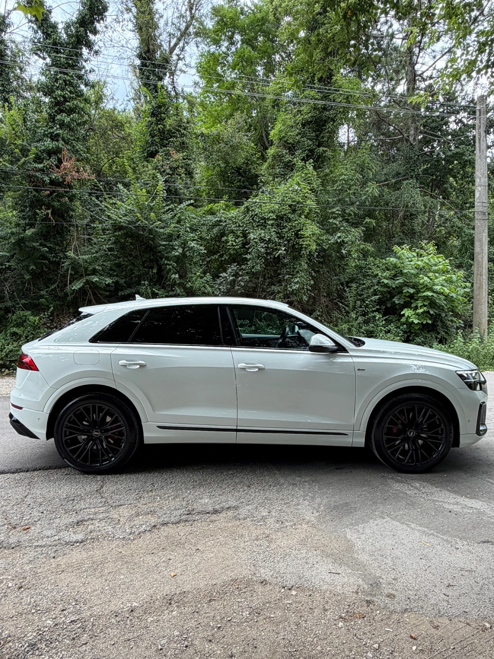 Audi Q8, снимка 3 - Автомобили и джипове - 56105290