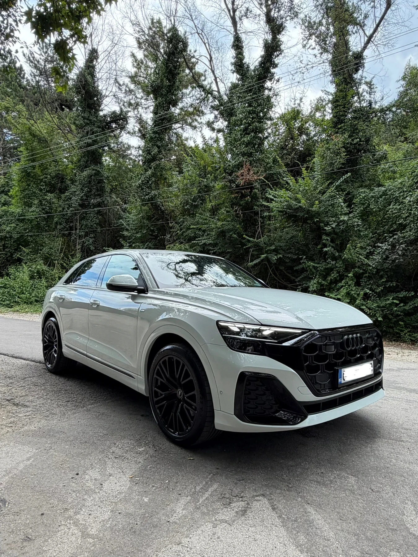 Audi Q8, снимка 2 - Автомобили и джипове - 56105290