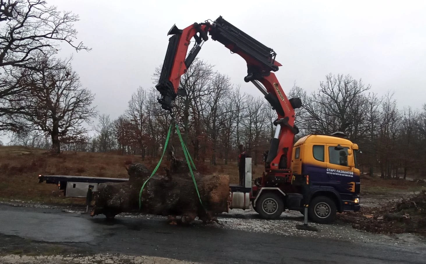  R 124 | Mobile.bg   12