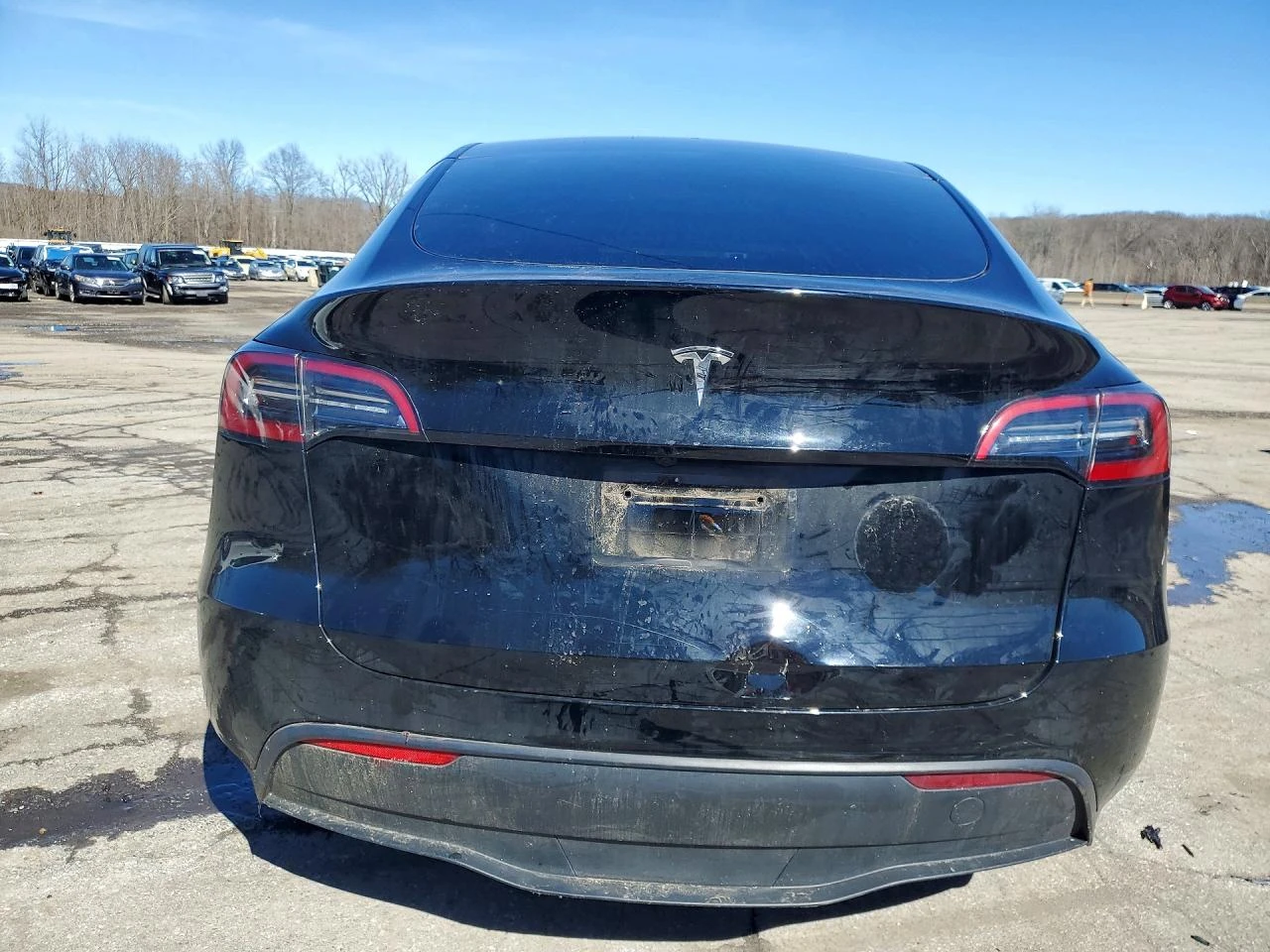 Tesla Model Y, снимка 6 - Автомобили и джипове - 54624076