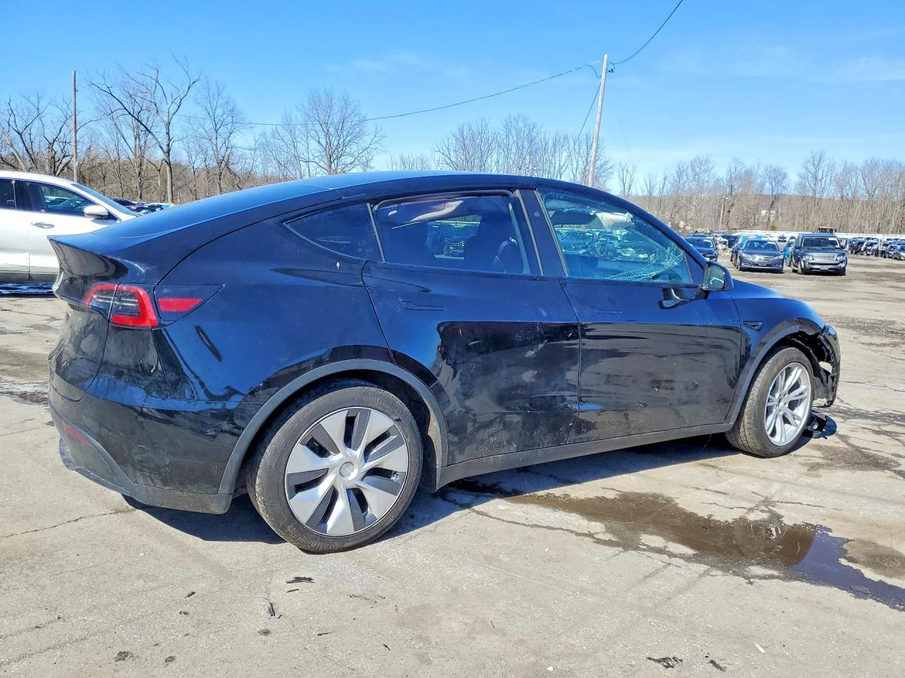 Tesla Model Y, снимка 3 - Автомобили и джипове - 54624076