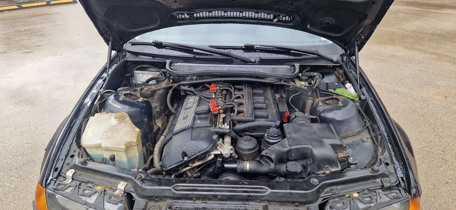 BMW 323 | Mobile.bg � ����������� 10