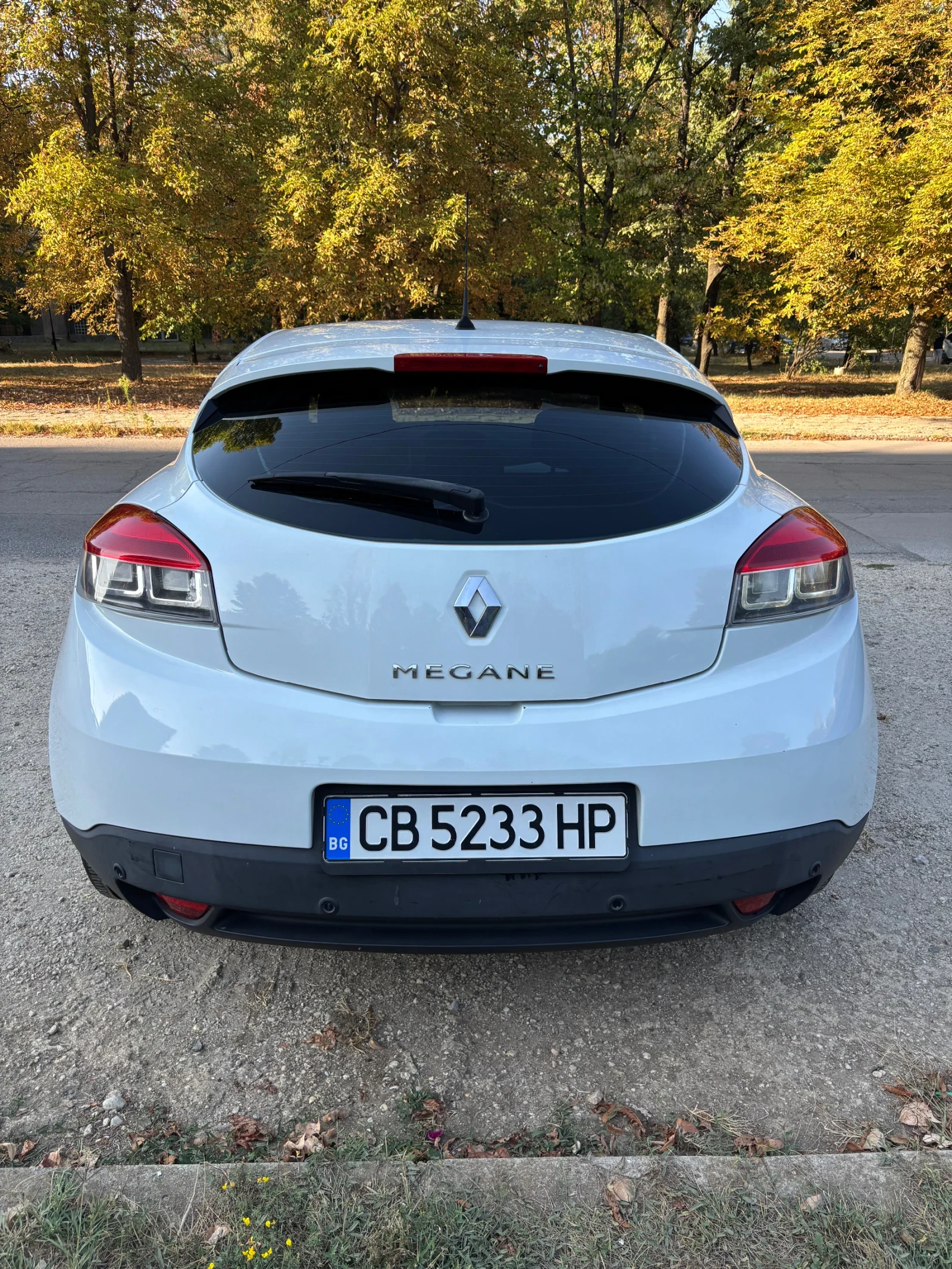 Renault Megane, снимка 4 - Автомобили и джипове - 56010637