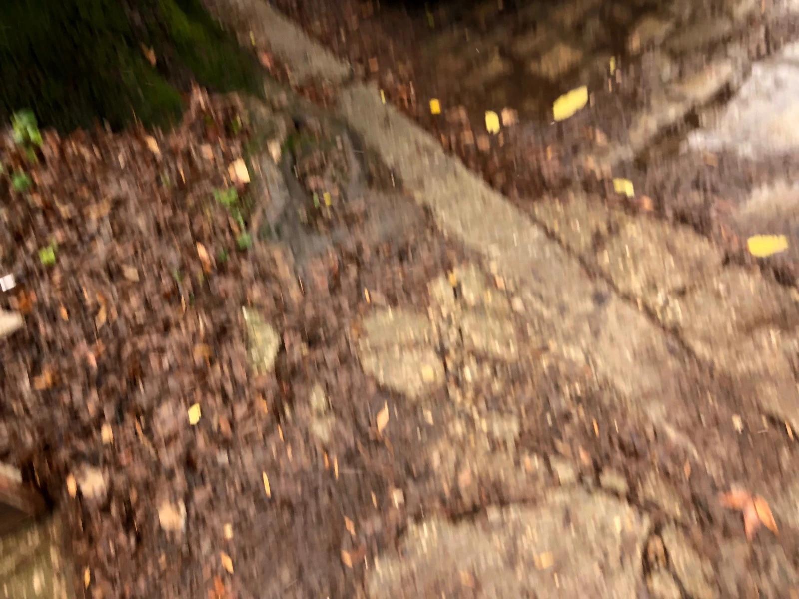 Mercedes-Benz Sprinter 313 CDi 4x4 | Mobile.bg   11