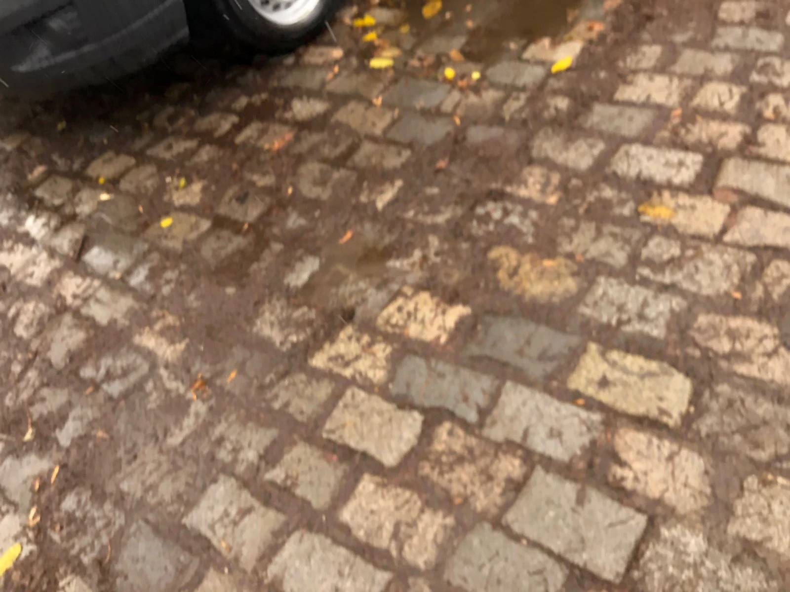 Mercedes-Benz Sprinter 313 CDi 4x4 | Mobile.bg   13