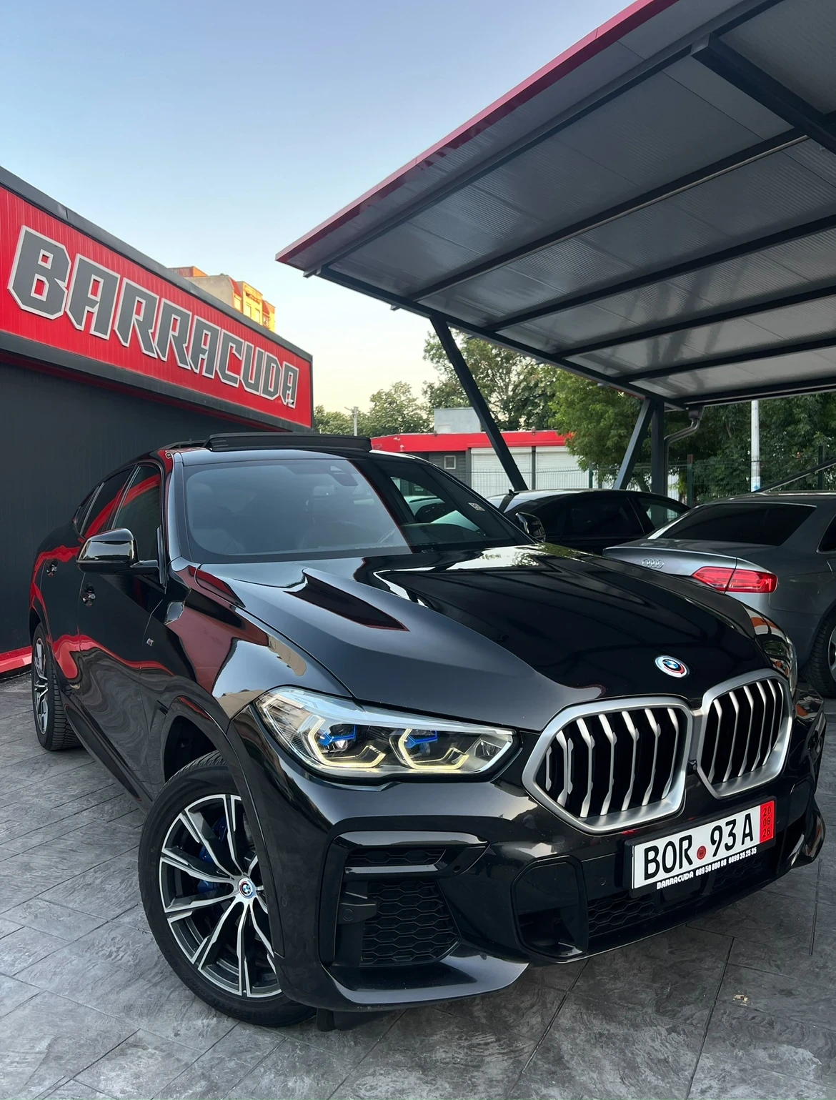 BMW X6, снимка 5 - Автомобили и джипове - 55903058