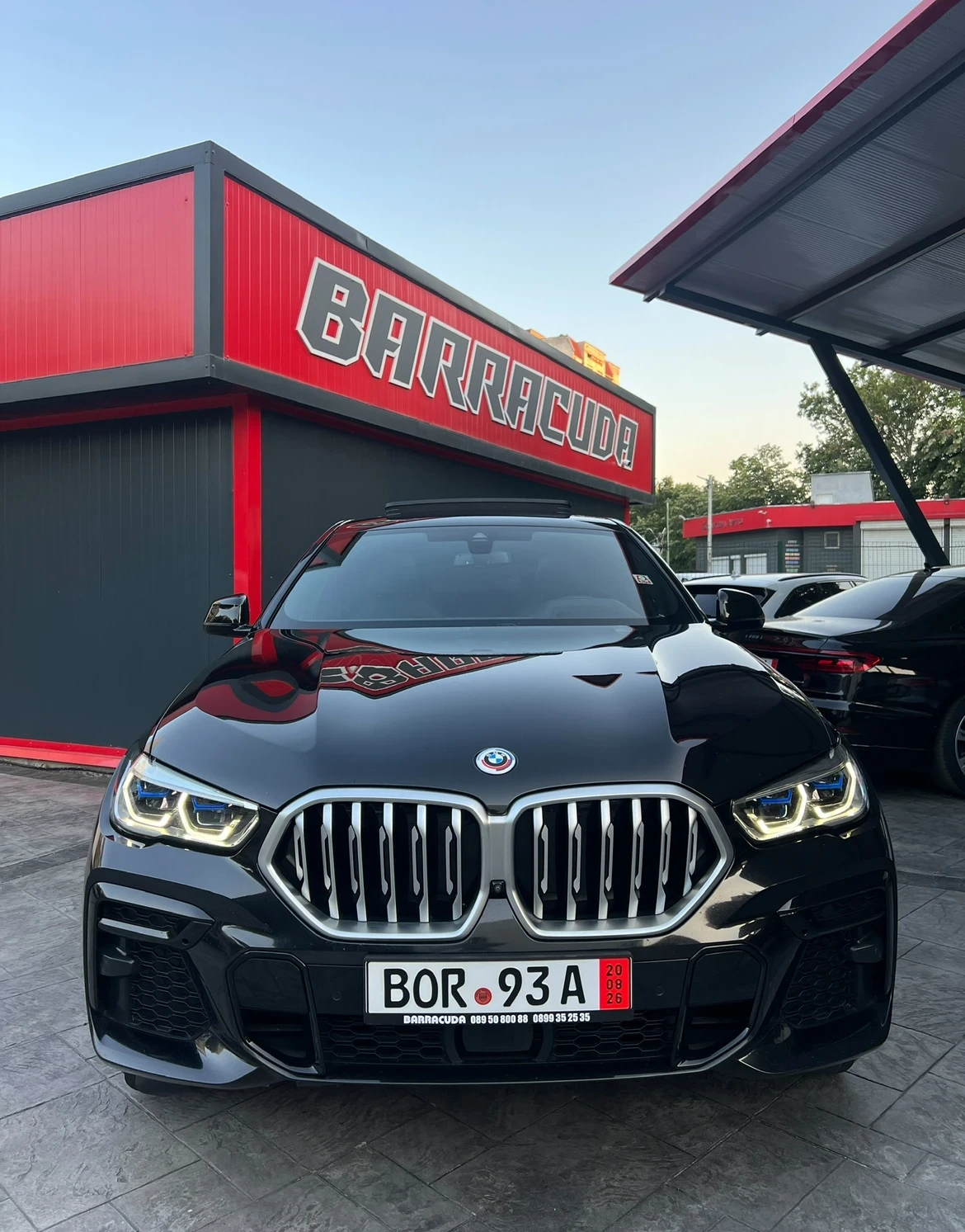 BMW X6