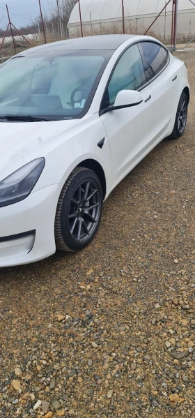 Tesla Model 3 Dual Motor  AWD - 20500 € / 40094.51 лв. - 16598822 5