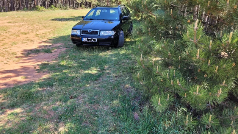Skoda Octavia 1.8T 4X4, снимка 2 - Автомобили и джипове - 52286001