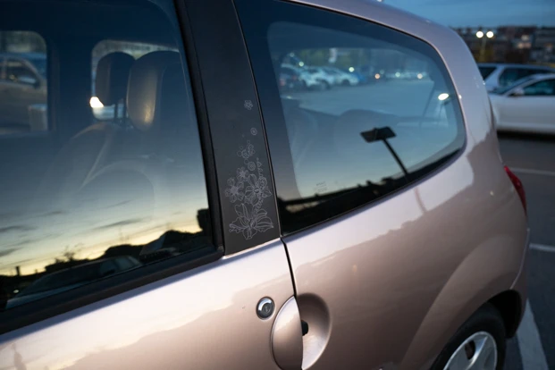 Renault Twingo Miss Sixty - изображение 8