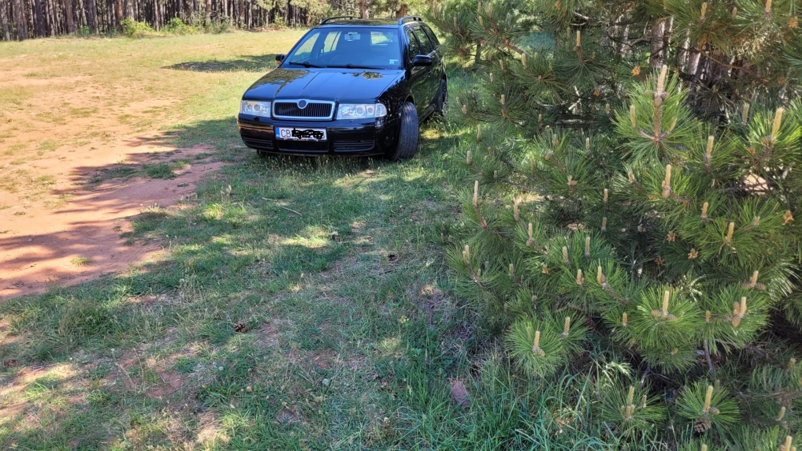 Skoda Octavia 1.8T 4X4 | Mobile.bg   2